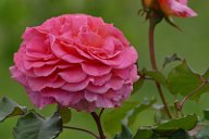 20170516_165546_0