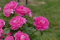 20170516_165616_0