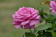 20170516_165634_0