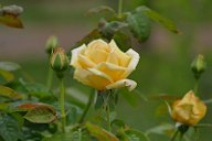 20170516_165647_0