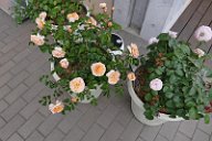 20170516_165826_0