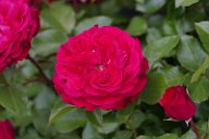 20170516_165933_0