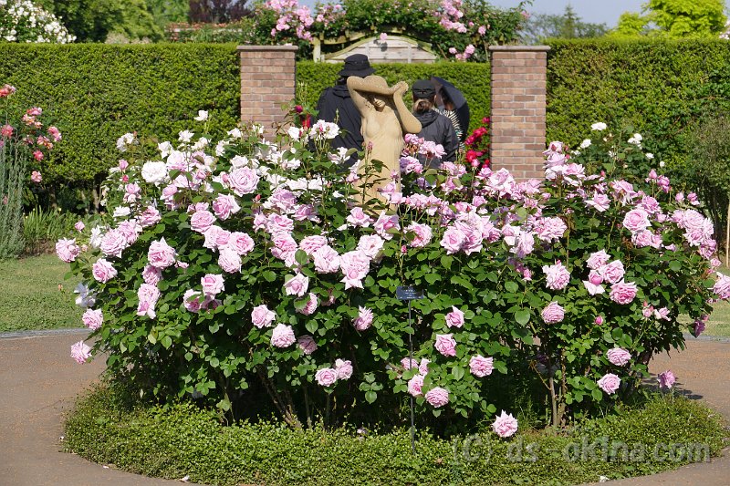 20170518_155609_0.jpg