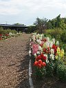 20170518_154538_0