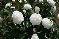 20170518_154551_0