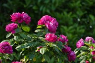20170518_155405_0