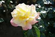 20170518_160046_0
