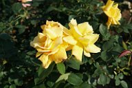 20170518_160227_0