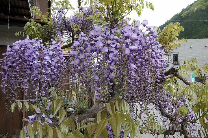20170504_163931_0.jpg