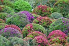 20170504_164603_0