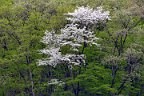 20170504_165158_0