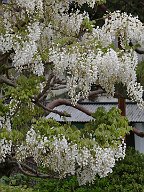 20170504_165337_0