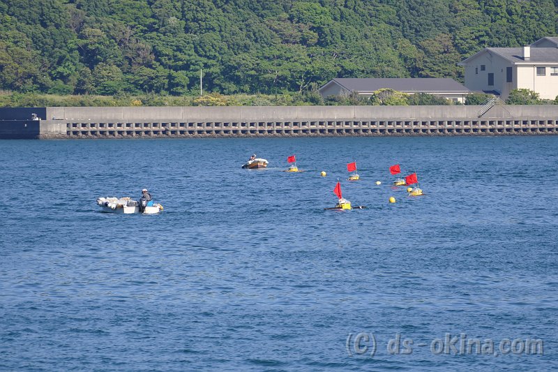 20170519_155448_0.jpg