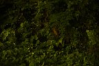 20170701_233935_c