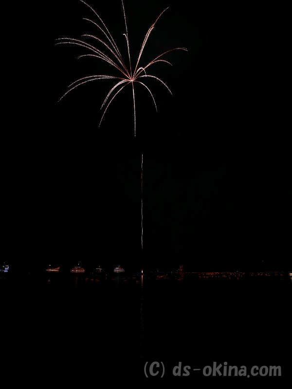20170731_201141_0.jpg