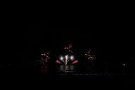 20170804_195510_0