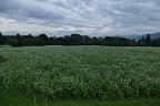 20170922_155057_0