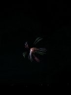 20171104_181551_0