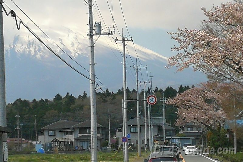 20180408_111225_0.jpg