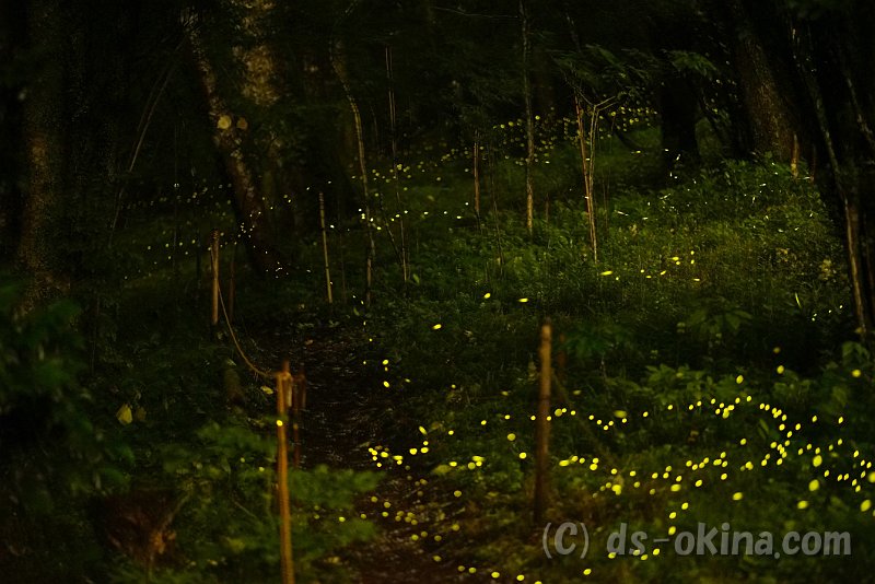 a7s85_06212333-2337.jpg