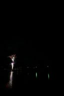 20180707_200729_0
