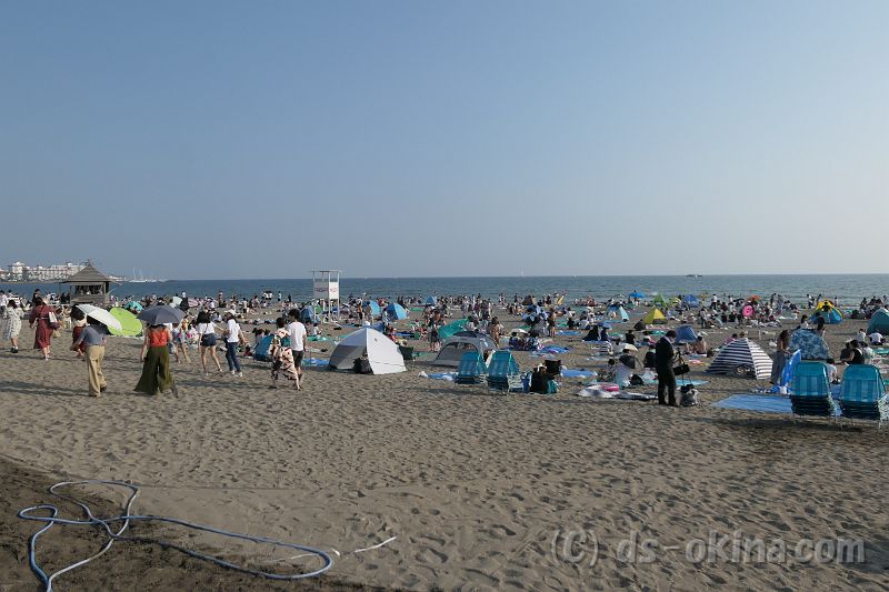 20180724_164047_0.jpg