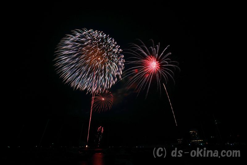 20180830_204747_0.jpg