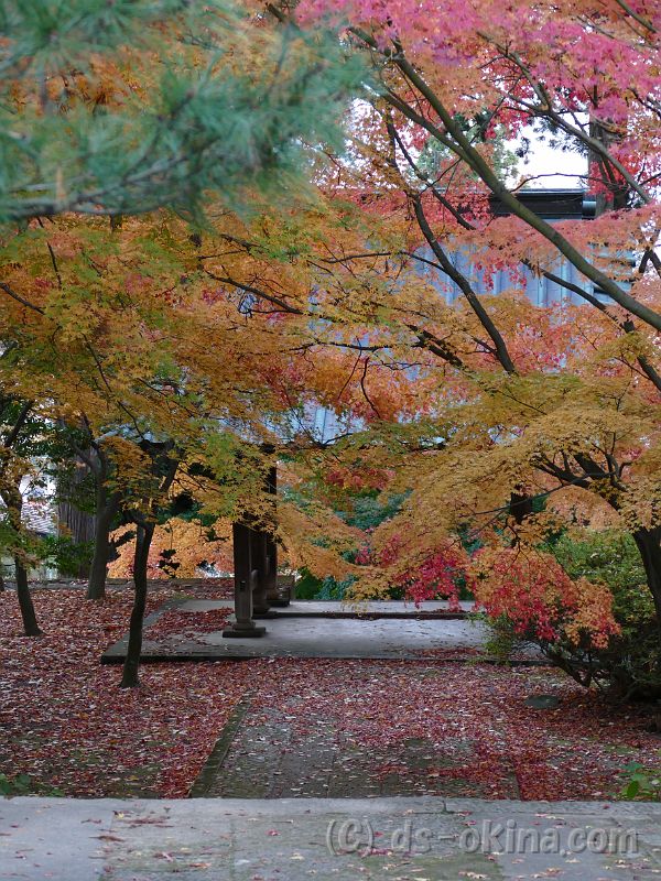 20181110_161257_0.jpg