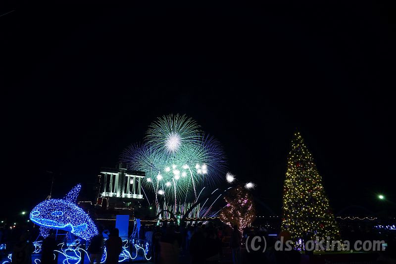 20181224_191402_0.jpg