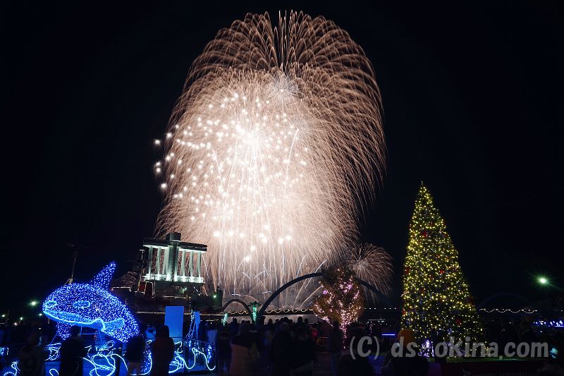 20181224_191456_0.jpg