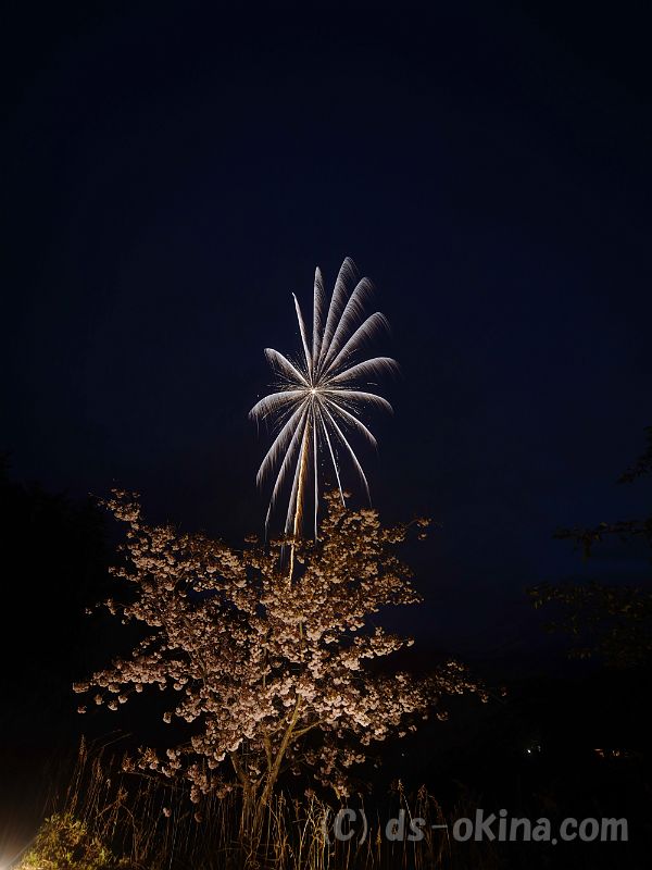 20190429_190807_0.jpg