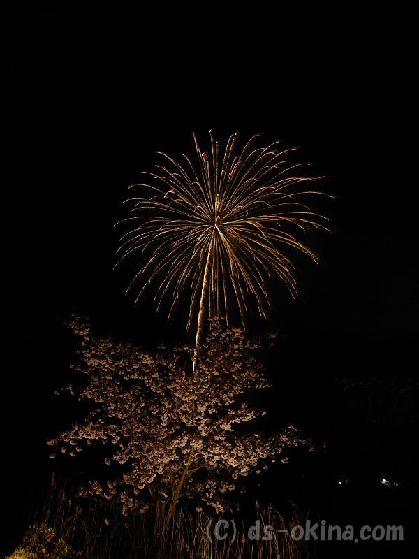 20190429_192905_0.jpg