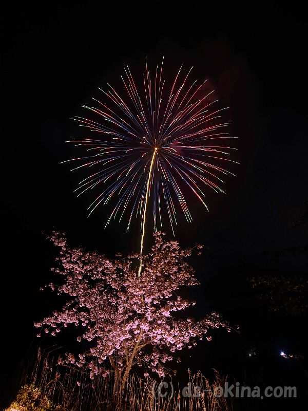 20190429_193340_0.jpg