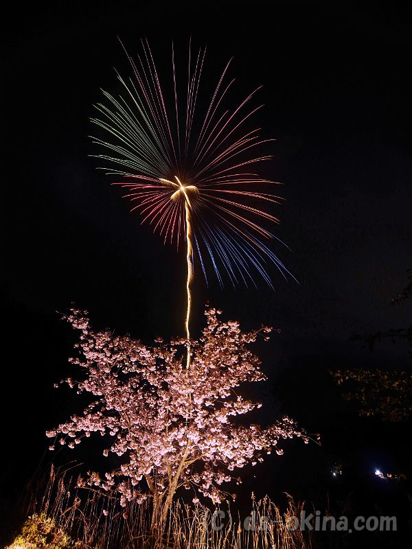 20190429_194026_0.jpg
