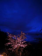 20190429_190021_0