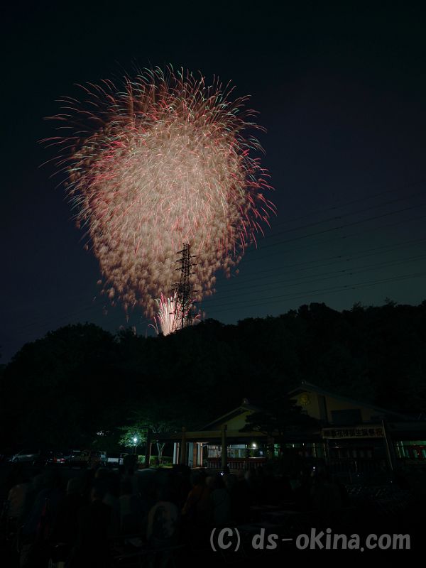 20190503_191353_0.jpg