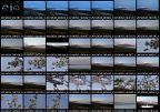album001