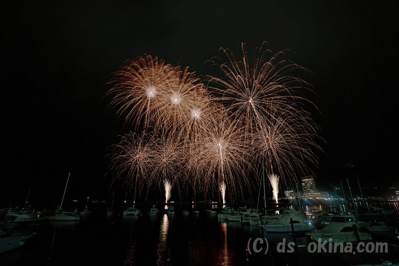 20190629_202008.jpg