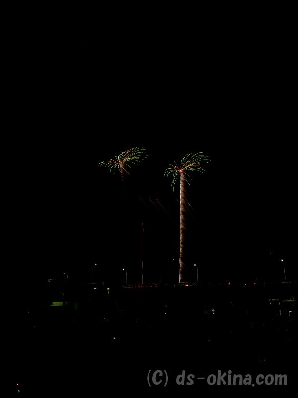 20190725_194218_1.jpg