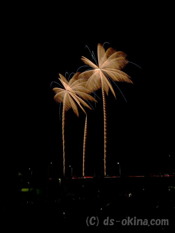 20190725_195346_1.jpg