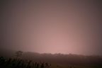20201004_184824_0