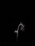 20201107_181104