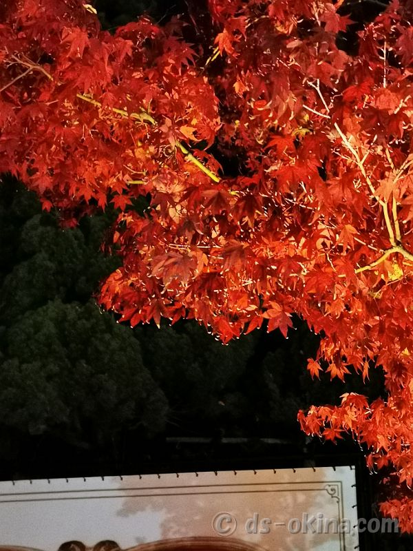 20201107_034716.jpg