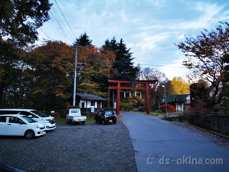 20201107_062258.jpg