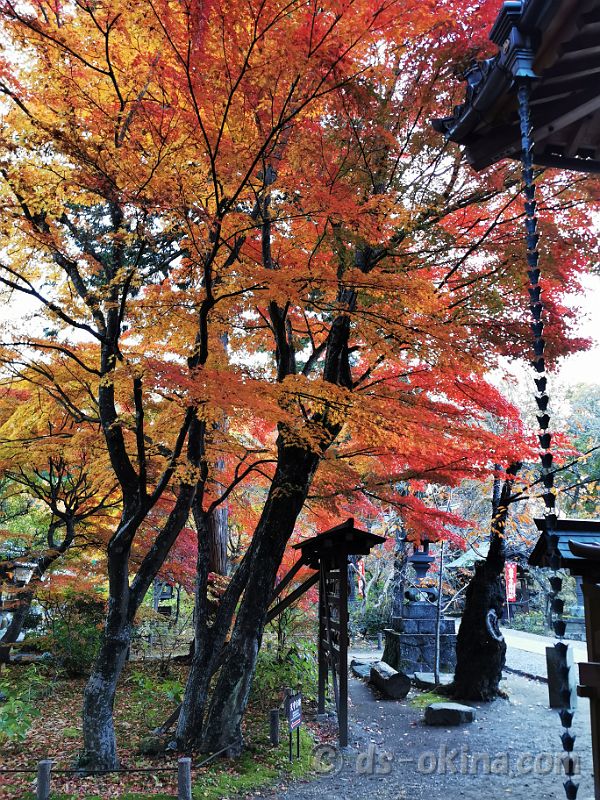 20201107_063836.jpg