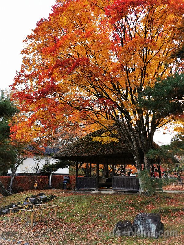 20201107_064412.jpg