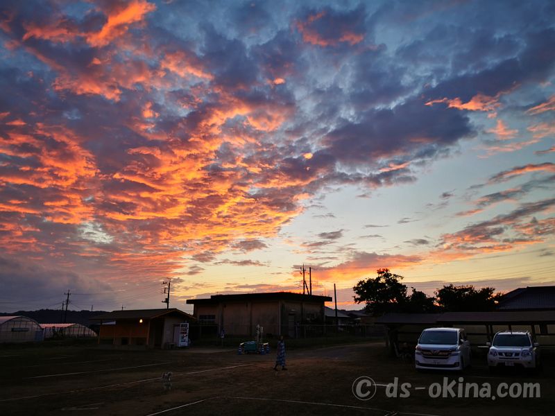 20201108_164259.jpg