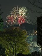 20201115_190538