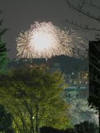 20201115_190628
