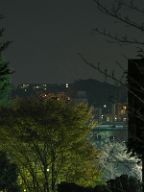 20201115_190654